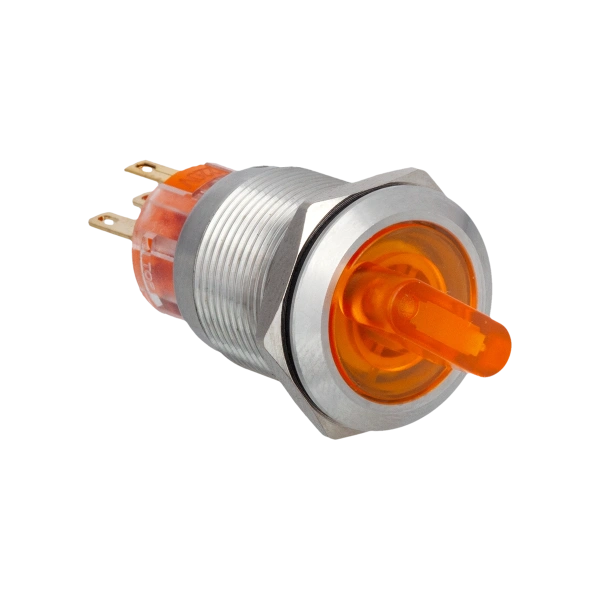 Переключатель с подсветкой, с фиксацией, 24V AC/DC, желтый, 2 положения, 1NO+1NC, IP67, нержавеющая сталь MT67-BD211Y24