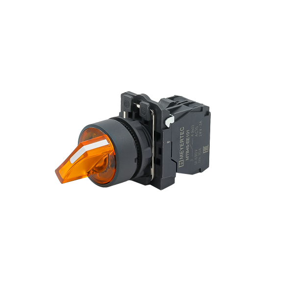 Переключатель  на 2 положения с фиксацией и подсветкой,  желтый, 1NO, 220V AC/DC, IP65, пластик MTB5-AK25713